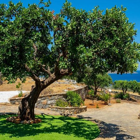 Elounda Anemelia Apartments Extérieur photo