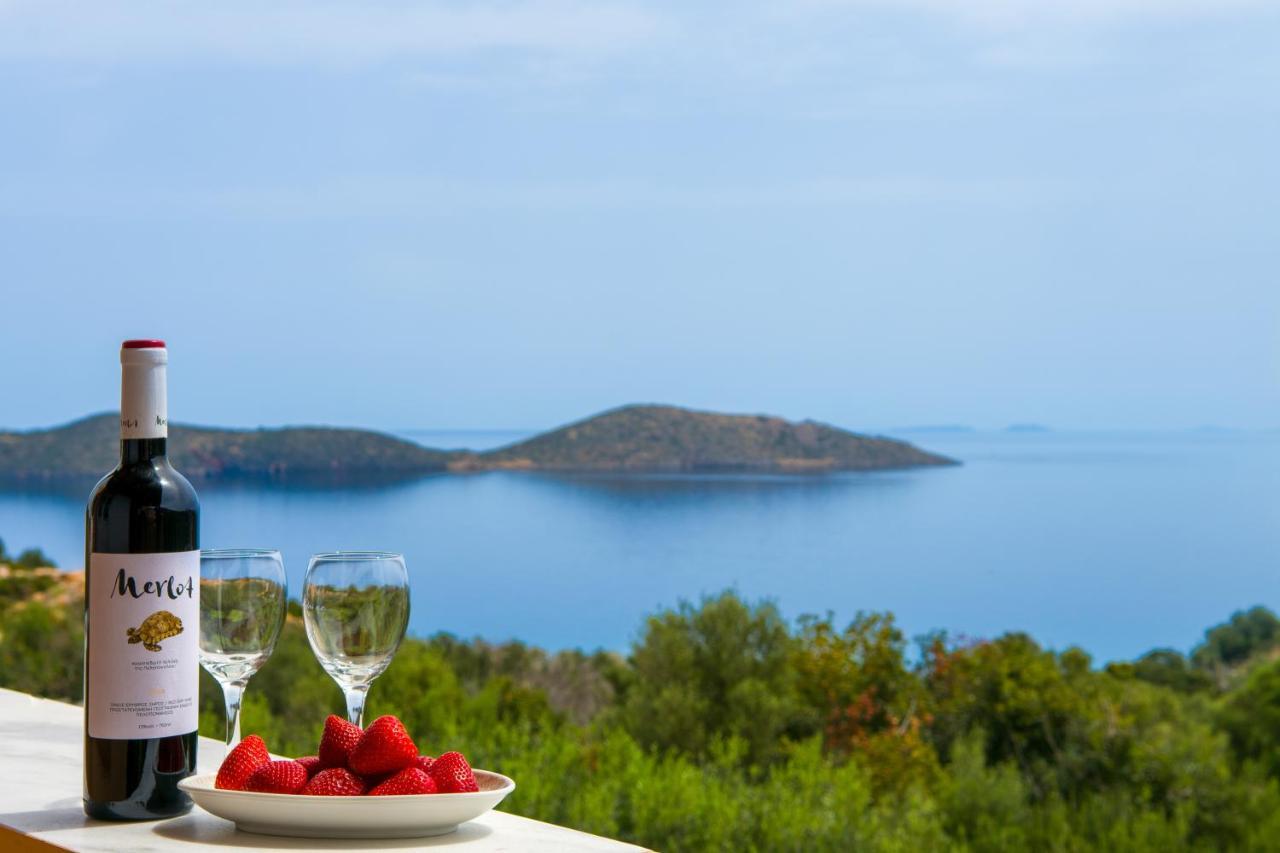Elounda Anemelia Apartments Extérieur photo