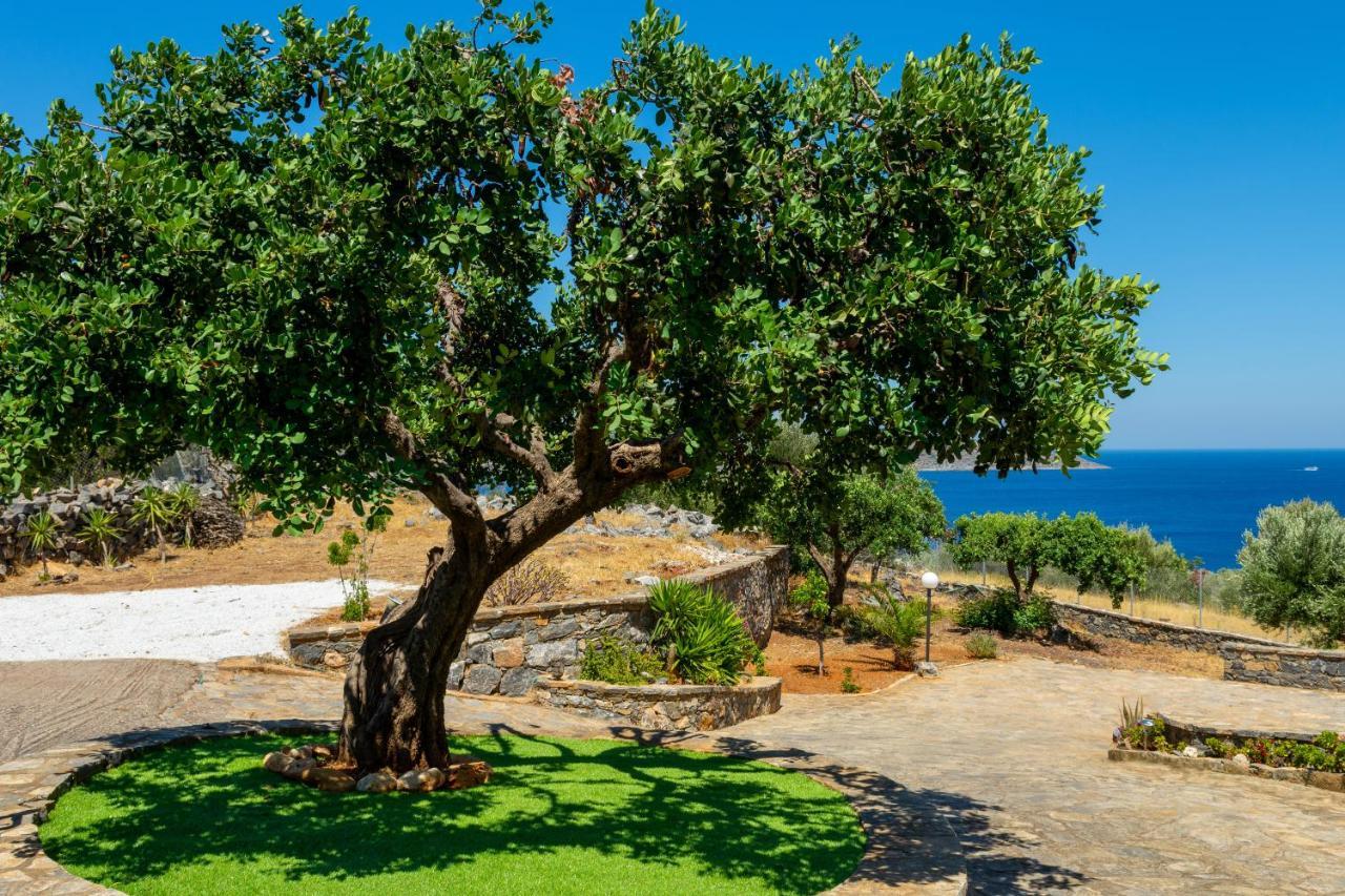 Elounda Anemelia Apartments Extérieur photo