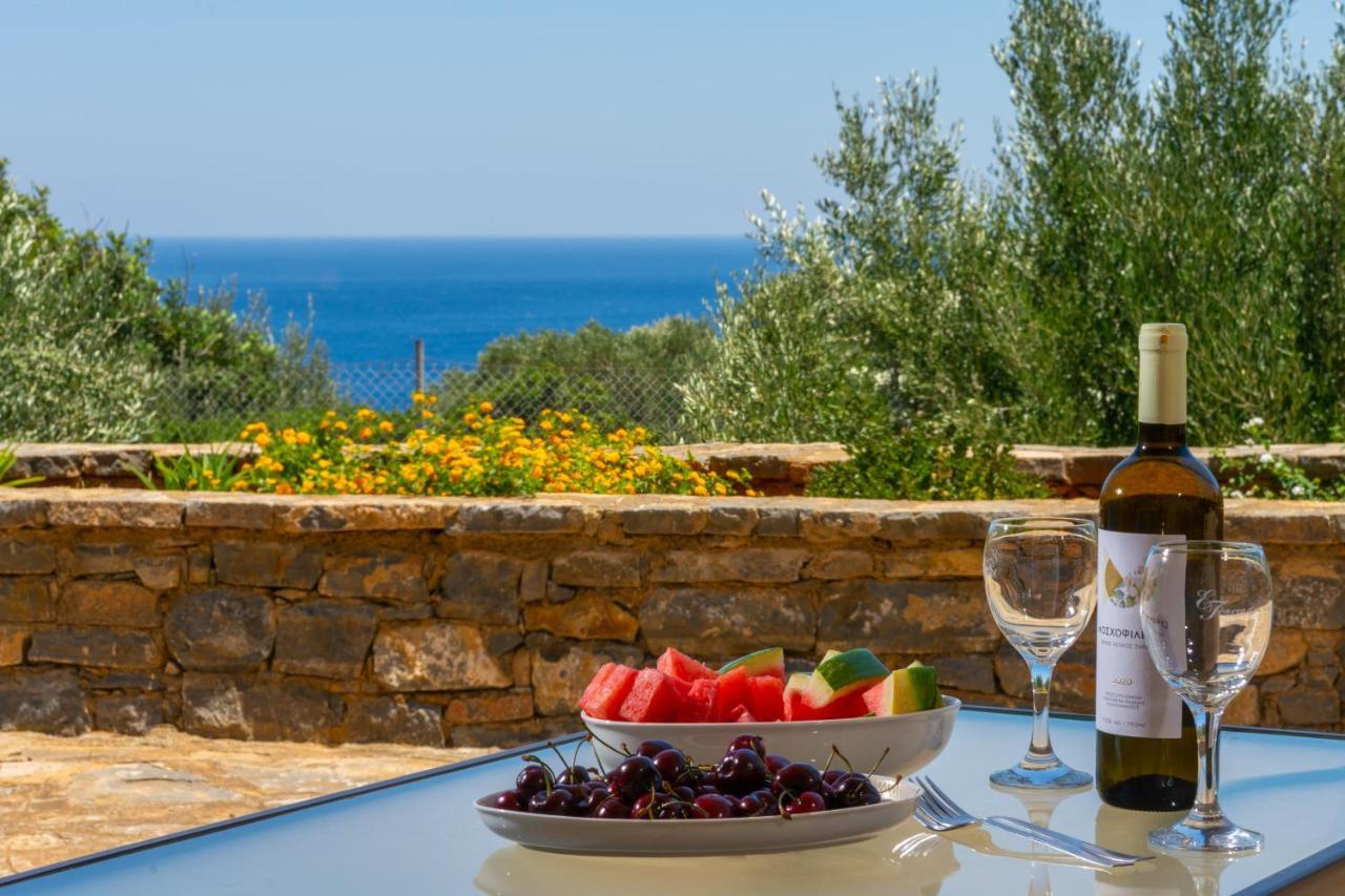 Elounda Anemelia Apartments Extérieur photo